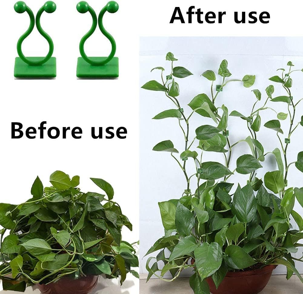 Plant Climbing Wall Clips, 30pcs