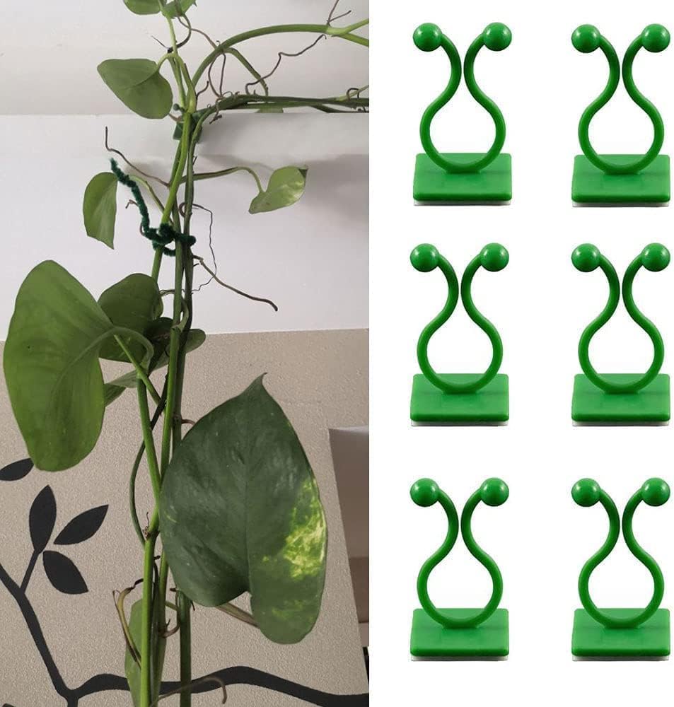 Plant Climbing Wall Clips, 30pcs