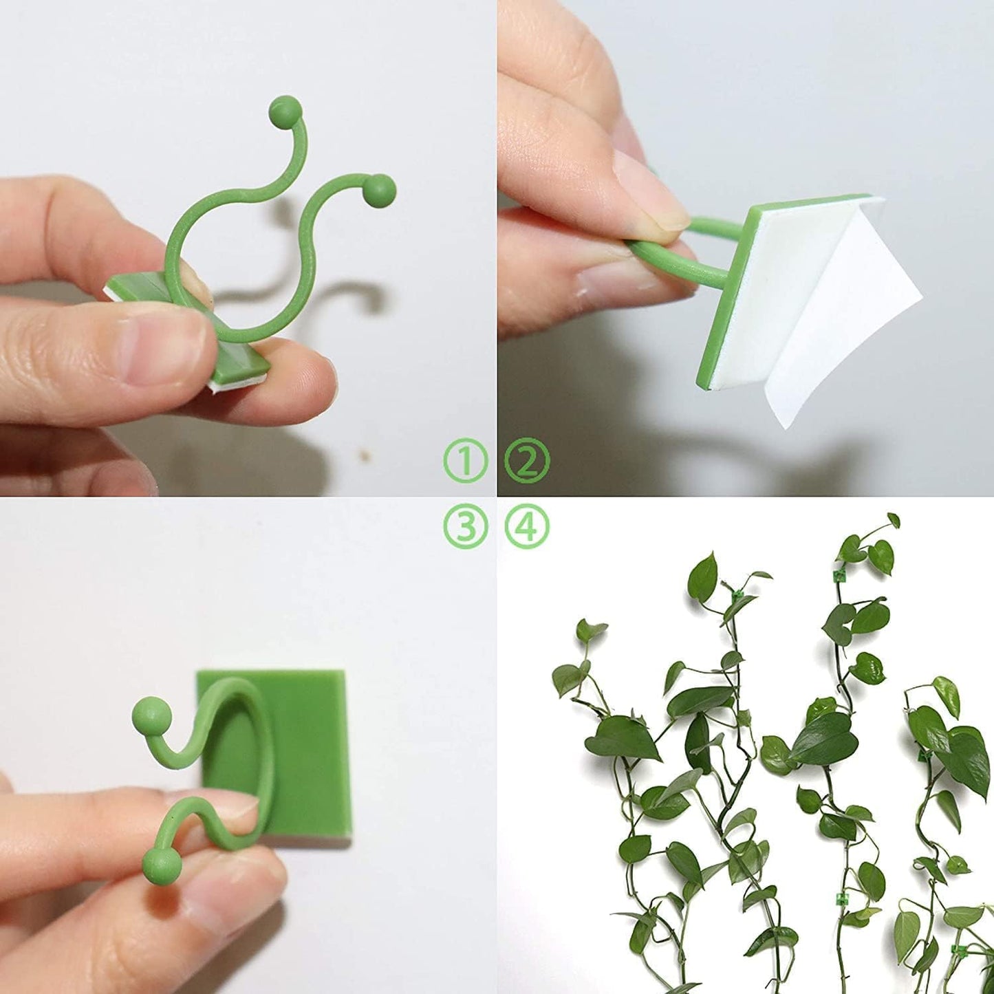 Plant Climbing Wall Clips, 30pcs