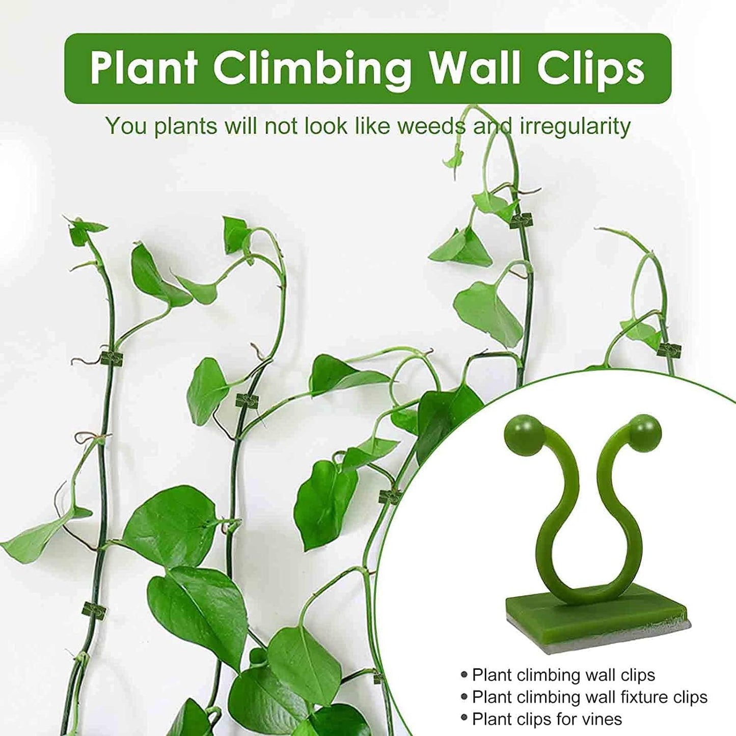 Plant Climbing Wall Clips, 30pcs