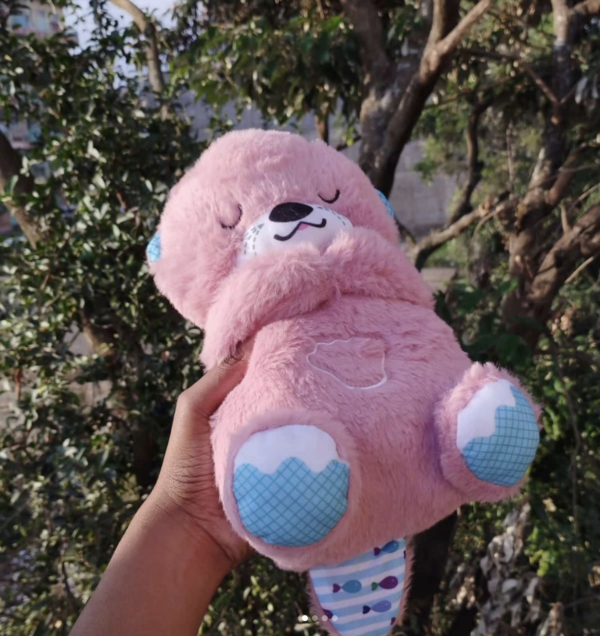 Breathing Teddy Bear